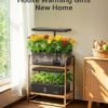 iDOO Hydroponics Growing System Kit 12 Pods - Image 2