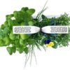 Véritable Smart Garden with 4 Ingots - Image 4