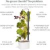 Gardyn Studio Hydroponics Vertical Growing System Kit - Image 3
