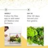 Rise Gardens Personal Hydroponic Indoor Garden Kit with LED Grow Light - Image 6