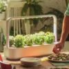 Click & Grow Indoor Herb Garden Kit with 9 Plant pods - Image 7
