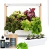 Rise Gardens Personal Hydroponic Indoor Garden Kit with LED Grow Light