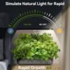 LYKOCLEAN Hydroponics Growing System 12 Pods - Image 3