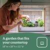Rise Gardens Personal Hydroponic Indoor Garden Kit with LED Grow Light - Image 3