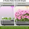 LYKOCLEAN Hydroponics Growing System 12 Pods - Image 4