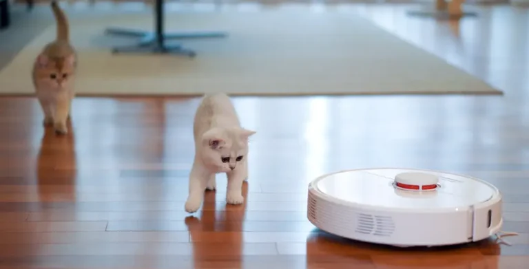 Best Robot Vacuum and Mop for Pet Hair